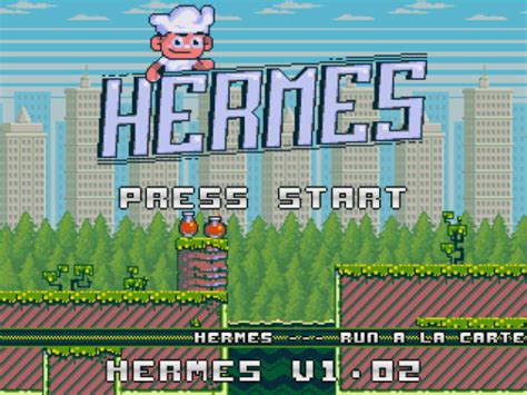 hermes wii